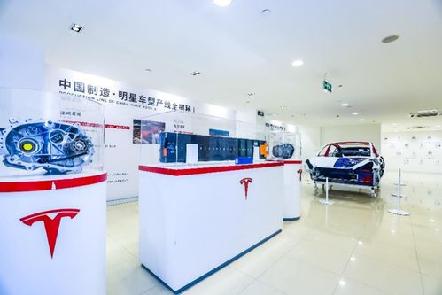 管中窺豹 上海超級工廠主題展登陸山城，揭秘特斯拉硬核科技與重慶心理咨詢跨界融合