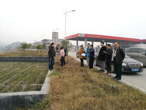 溆懷高速公路環(huán)境保護(hù)工程通過省環(huán)保廳評(píng)估中心專項(xiàng)檢查